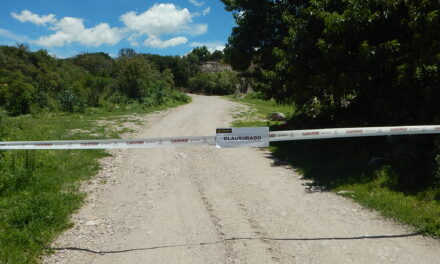 JALISCO PROTEGE EL MEDIO AMBIENTE CON ACCIONES DE INSPECCIÓN Y VIGILANCIA