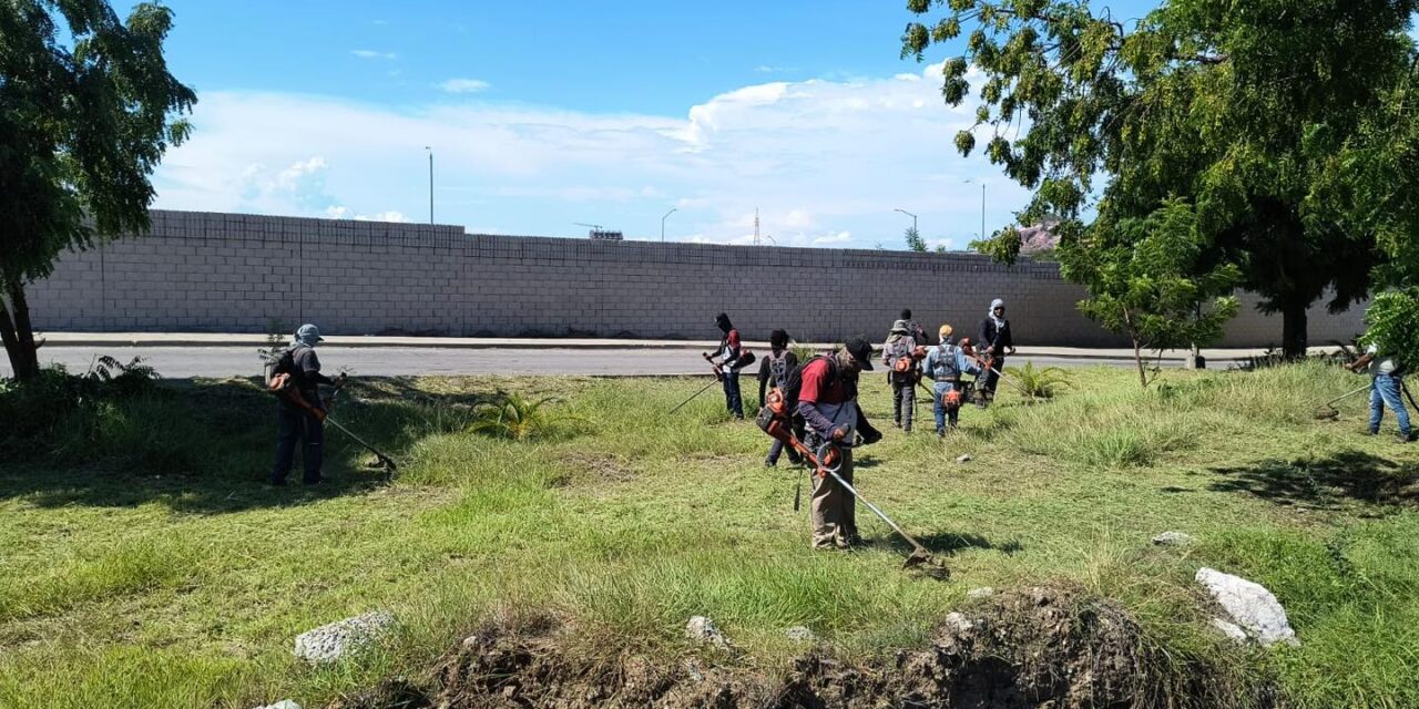 MANTENIMIENTO DE ÁREAS VERDES Y LIMPIEZA EN MAZATLÁN