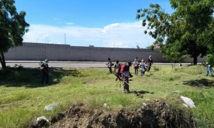 MANTENIMIENTO DE ÁREAS VERDES Y LIMPIEZA EN MAZATLÁN