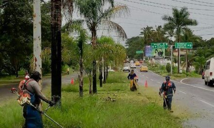 💪🌿 LA BRIGADA BLANCA SIGUE LIMPIANDO Y EMBELLECIENDO AVENIDAS 🧹✨