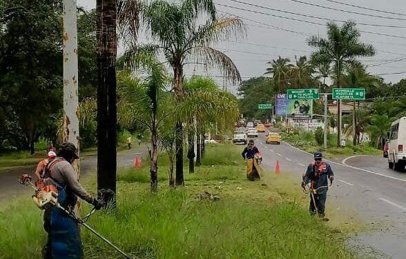 💪🌿 LA BRIGADA BLANCA SIGUE LIMPIANDO Y EMBELLECIENDO AVENIDAS 🧹✨