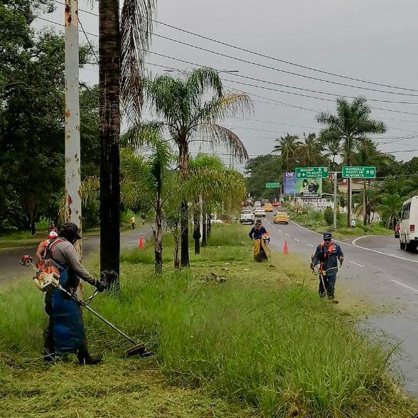 💪🌿 LA BRIGADA BLANCA SIGUE LIMPIANDO Y EMBELLECIENDO AVENIDAS 🧹✨