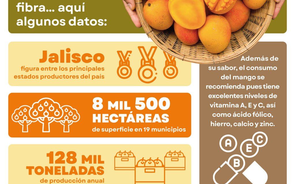 TOMATLÁN, LÍDER EN PRODUCCIÓN DE MANGO EN JALISCO