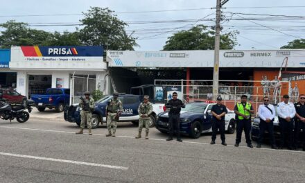 OPERATIVO DE REVISIÓN VEHICULAR EN BAHÍA DE BANDERAS