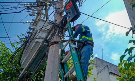 Realizan trabajos de iluminación y mantenimiento en diversas colonias de Vallarta