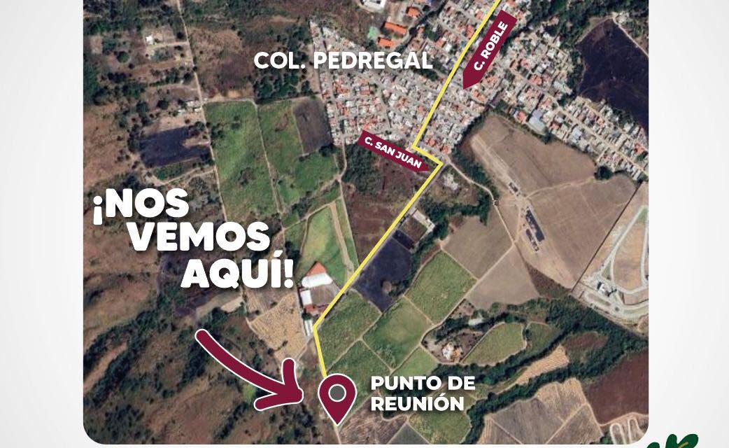 TEPIC SIEMBRA Y SONRÍE: JORNADA DE REFORESTACIÓN EN EL CERRO DE SAN JUAN