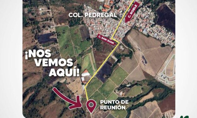 TEPIC SIEMBRA Y SONRÍE: JORNADA DE REFORESTACIÓN EN EL CERRO DE SAN JUAN