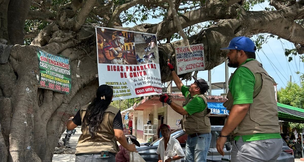 GOBIERNO DEL BIEN RETIRA PUBLICIDAD EN ÁRBOLES DE VALLARTA