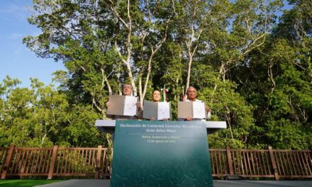 En un acuerdo histórico, México, Guatemala y Belice crean el Corredor Biocultural de la Gran Selva Maya, el más grande del mundo en su tipo