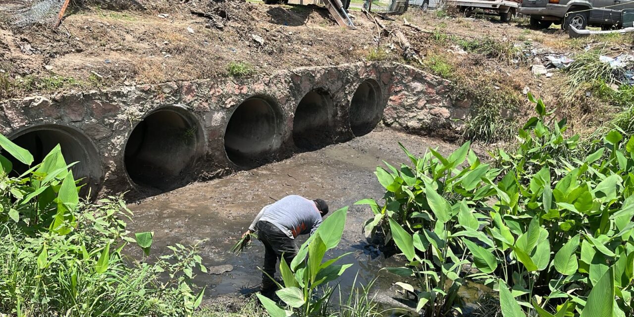 EL GOBIERNO DEL BIEN REFUERZA TRABAJOS DE DESAZOLVE EN LA VENA DEL RÍO PITILLAL