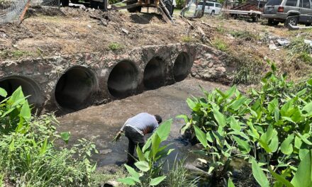 EL GOBIERNO DEL BIEN REFUERZA TRABAJOS DE DESAZOLVE EN LA VENA DEL RÍO PITILLAL