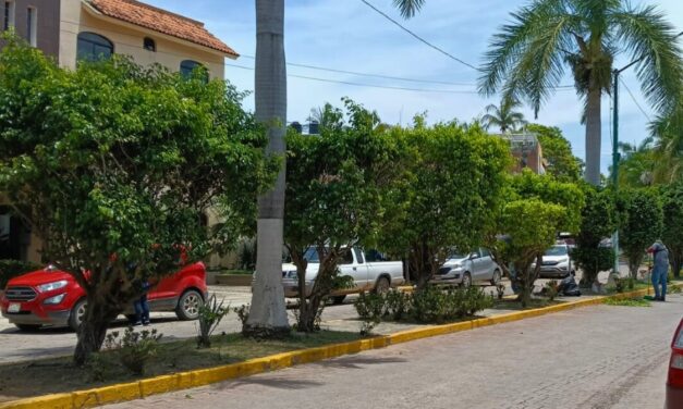 COMP0STELA EN GRANDE: LIMPIEZA Y PODA PARA UN MUNICIPIO MÁS LIMPIO Y ORDENADO