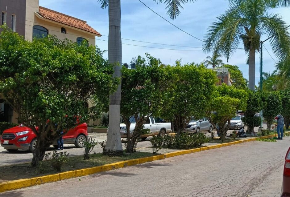 COMP0STELA EN GRANDE: LIMPIEZA Y PODA PARA UN MUNICIPIO MÁS LIMPIO Y ORDENADO