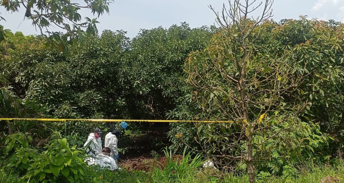 REALIZA FGEN PROCESAMIENTO FORENSE TRAS LOCALIZACIÓN DE FOSA CLANDESTINA EN ZONA RURAL DE TEPIC
