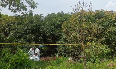 REALIZA FGEN PROCESAMIENTO FORENSE TRAS LOCALIZACIÓN DE FOSA CLANDESTINA EN ZONA RURAL DE TEPIC