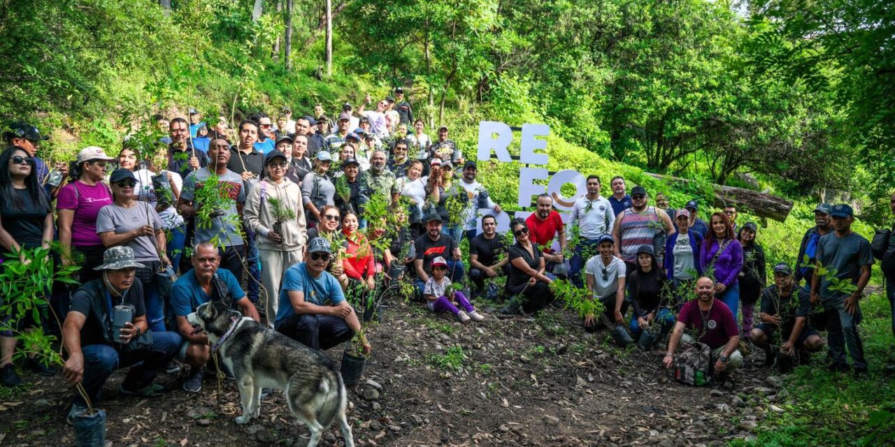 REFORESTAR ES DAR VIDA A NUESTRA CIUDAD