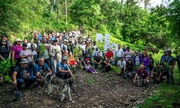 REFORESTAR ES DAR VIDA A NUESTRA CIUDAD