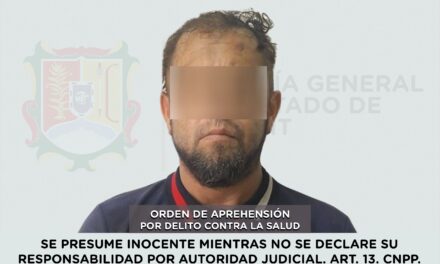DETENIDO PRESUNTO RESPONSABLE DE DELITO CONTRA LA SALUD