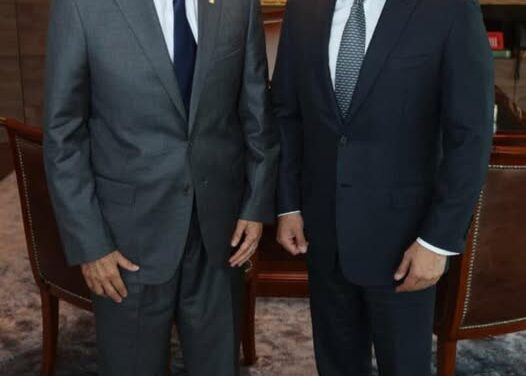 Gobernador se reúne con el secretario de Seguridad y Protección Ciudadana del gobierno de México