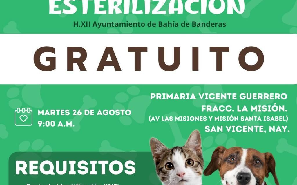 ¡Atención, amantes de los animales!