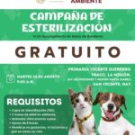 ¡Atención, amantes de los animales!