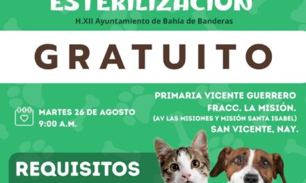 ¡Atención, amantes de los animales!
