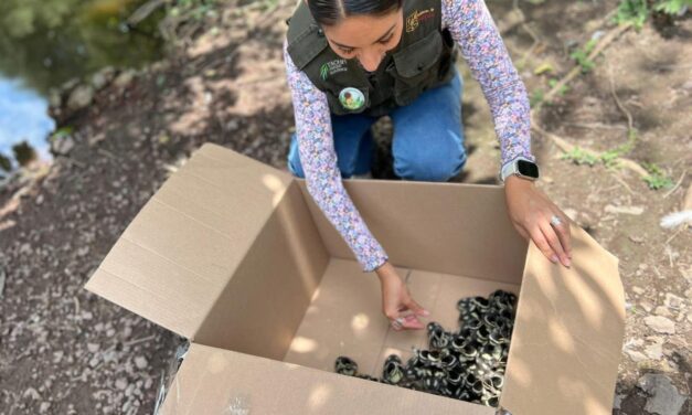 Nuevos habitantes llegan al Parque Ecológico Tachi’í