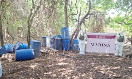 Marina localiza y asegura material empleado para la elaboración de estupefacientes en el municipio de San Blas, NayaritSan Blas, Nayarit
