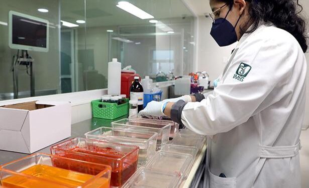 Diagnóstico oportuno y atención multidisciplinaria, claves en el tratamiento exitoso del sarcoma