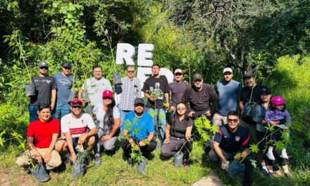 Tepic avanza en reforestación para construir una ciudad más verde