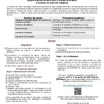 INMUNAY y Gobierno de Nayarit buscan especialistas para atender Declaratoria de Alerta de Género