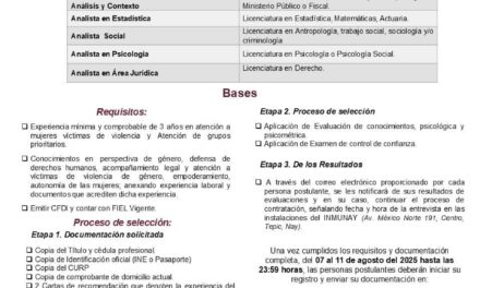 INMUNAY y Gobierno de Nayarit buscan especialistas para atender Declaratoria de Alerta de Género