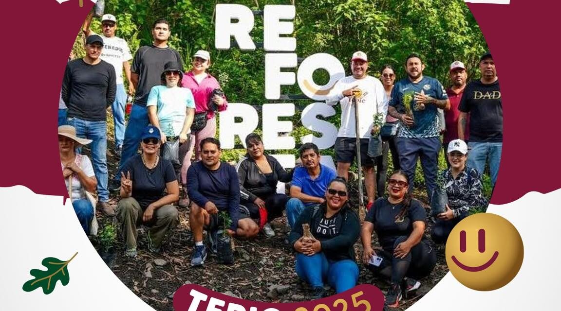 Gobierno de Tepic impulsa jornadas de reforestación para una ciudad más verde