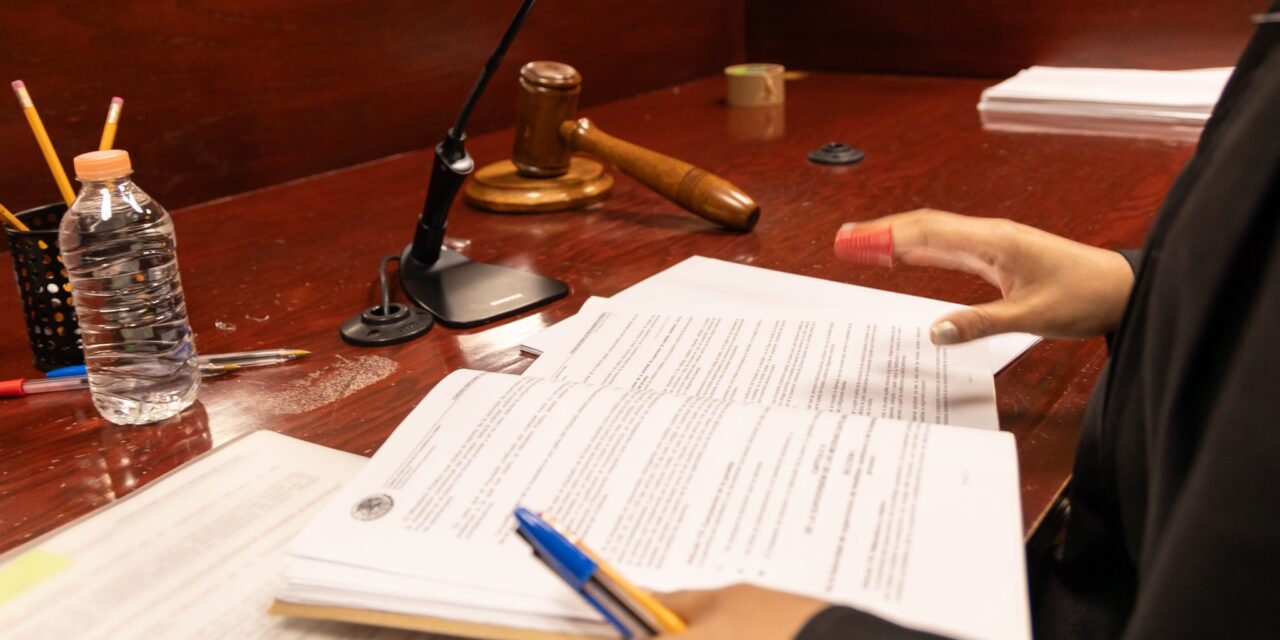 INFORME ANUAL 2024-2025: PRIMERA INSTANCIA Y ATENCIÓN A VIOLENCIA DE GÉNERO