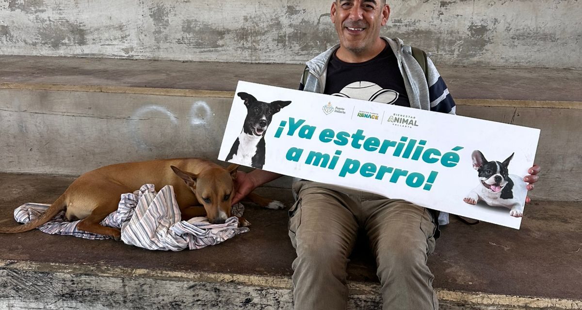 Bienestar Animal supera las 3 mil 300 esterilizaciones gratuitas