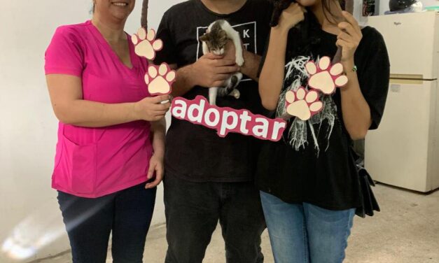 NITA Y FLORA FUERON ADOPTADAS EN HUELLITAS DEL BIENESTAR