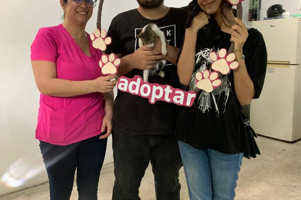 NITA Y FLORA FUERON ADOPTADAS EN HUELLITAS DEL BIENESTAR