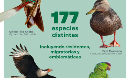 JALISCO, HOGAR DE 177 ESPECIES DE AVES