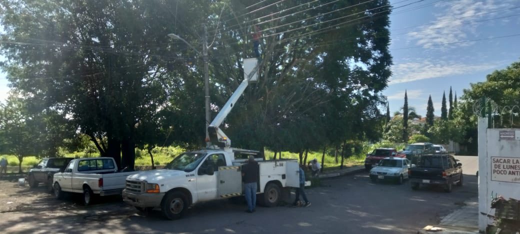 ¡PODAS PREVENTIVAS PARA MANTENER PARQUES SEGUROS EN XALISCO!