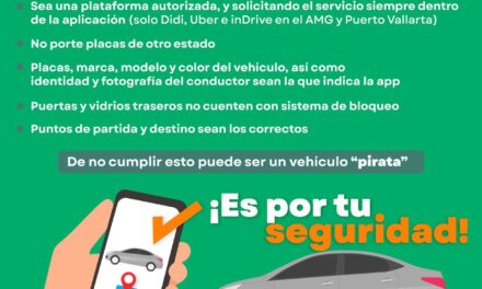 VERIFICA ANTES DE ABORDAR: TU SEGURIDAD ES PRIMERO