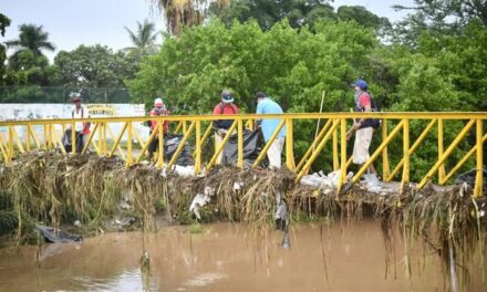 REALIZAN LIMPIEZA DE CALLES EN FRACCIONAMIENTO JACARANDAS