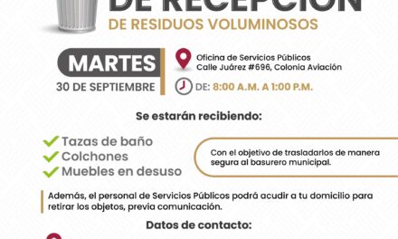 JORNADA DE RECEPCIÓN DE RESIDUOS VOLUMINOSOS EN COMPOSTELA