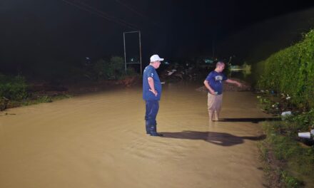 PROTECCIÓN CIVIL REPORTA SALDO BLANCO