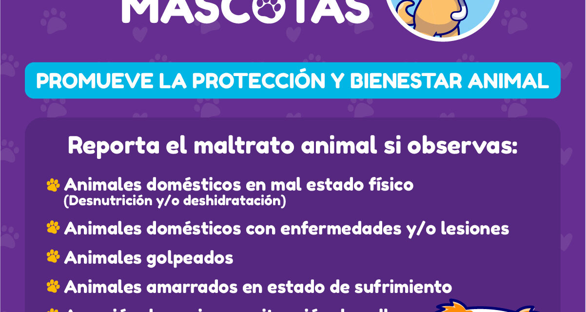 PROMUEVE EL BIENESTAR Y DENUNCIA EL MALTRATO ANIMAL