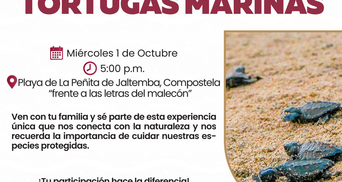 PARTICIPA EN LA LIBERACIÓN DE TORTUGAS MARINAS