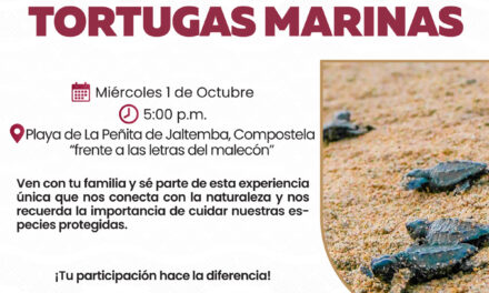 PARTICIPA EN LA LIBERACIÓN DE TORTUGAS MARINAS