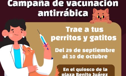 VACUNACIÓN DE MASCOTAS EN PLAZA BENITO JUÁREZ