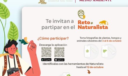 RETO NATURALISTA MAZATLÁN DE OTOÑO 2025