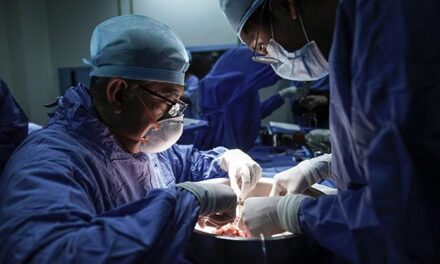 IMSS consolida su liderazgo nacional en donación y trasplante de órganos; proyecta cerrar el año con más de 3 mil 700 procedimientos de trasplantes