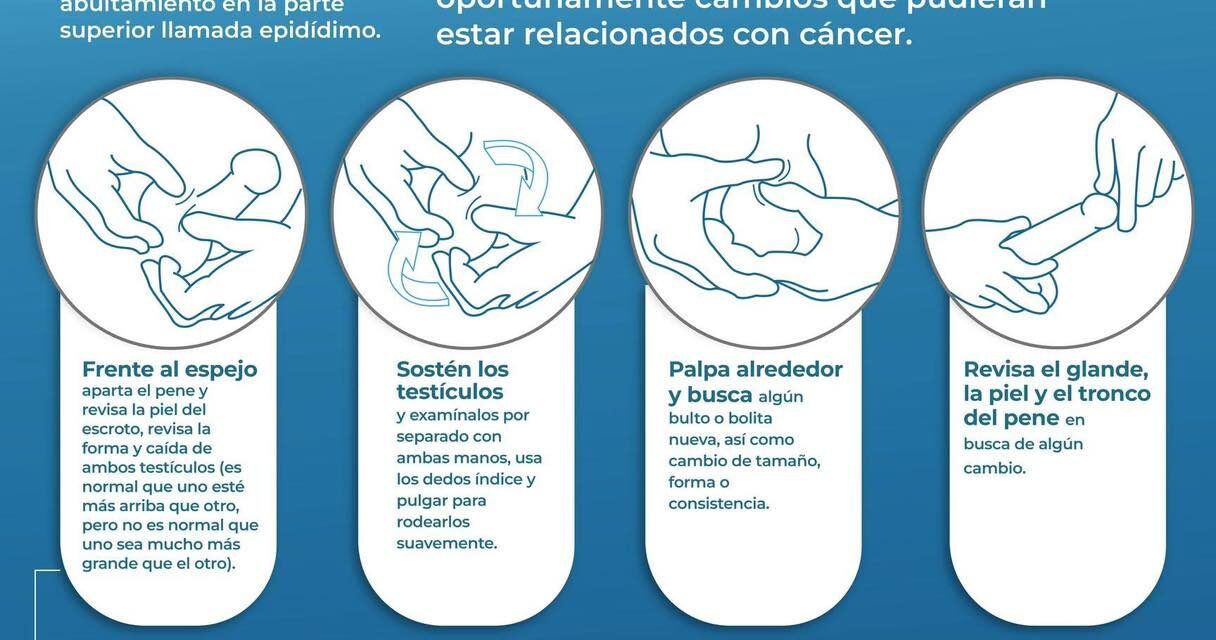 Autoexploración testicular | Hazlo 1 vez al mes, desde la adolescencia.
